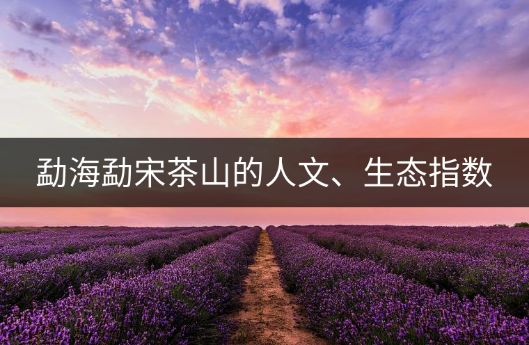 勐海勐宋茶山的人文、生態(tài)指數(shù)