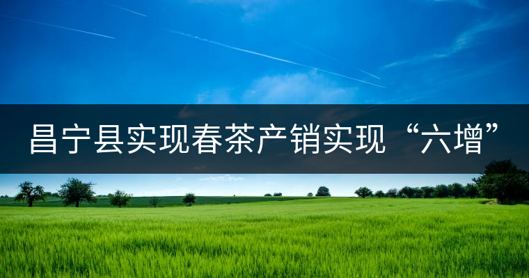 昌寧縣實(shí)現(xiàn)春茶產(chǎn)銷實(shí)現(xiàn)“六增”