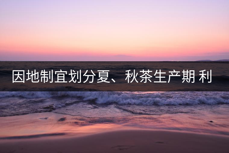 因地制宜劃分夏、秋茶生產(chǎn)期 利于采摘品質(zhì)