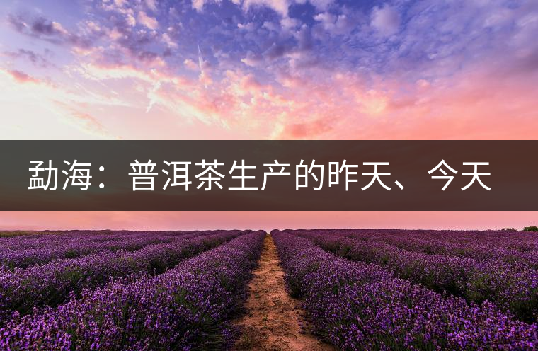勐海：普洱茶生產(chǎn)的昨天、今天、明天