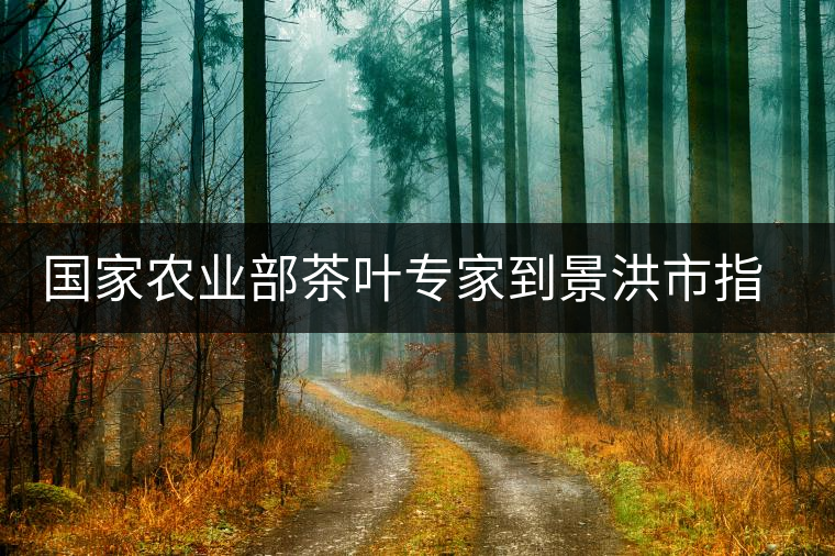 國(guó)家農(nóng)業(yè)部茶葉專家到景洪市指導(dǎo)抗旱