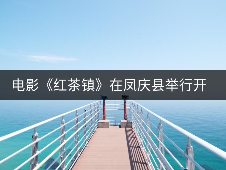 電影《紅茶鎮(zhèn)》在鳳慶縣舉行開機儀式 電影《紅茶鎮(zhèn)》在鳳慶縣舉行開機儀式
