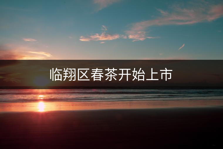 臨翔區(qū)春茶開(kāi)始上市