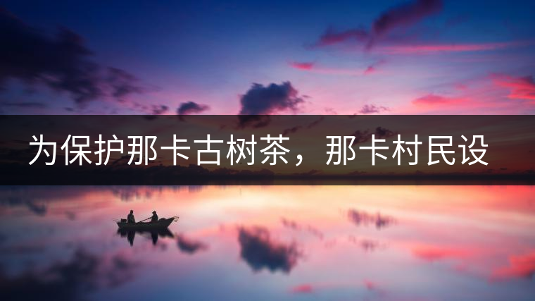 為保護那卡古樹茶，那卡村民設公約牌
