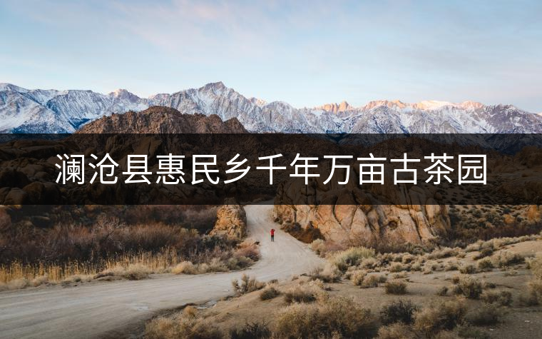 瀾滄縣惠民鄉(xiāng)千年萬畝古茶園 瀾滄縣惠民鄉(xiāng)千年萬畝古茶園