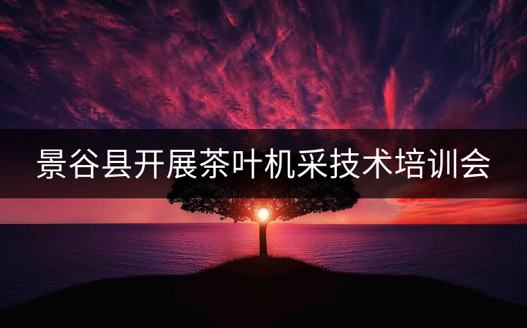 景谷縣開展茶葉機(jī)采技術(shù)培訓(xùn)會 景谷縣開展茶葉機(jī)采技術(shù)培訓(xùn)會