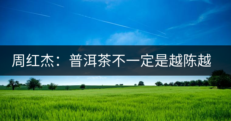 周紅杰：普洱茶不一定是越陳越香、越陳越好