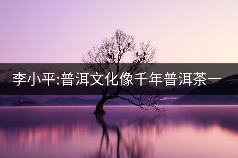 李小平:普洱文化像千年普洱茶一樣越陳越香