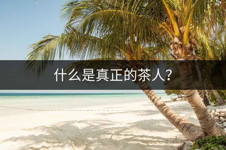 什么是真正的茶人？