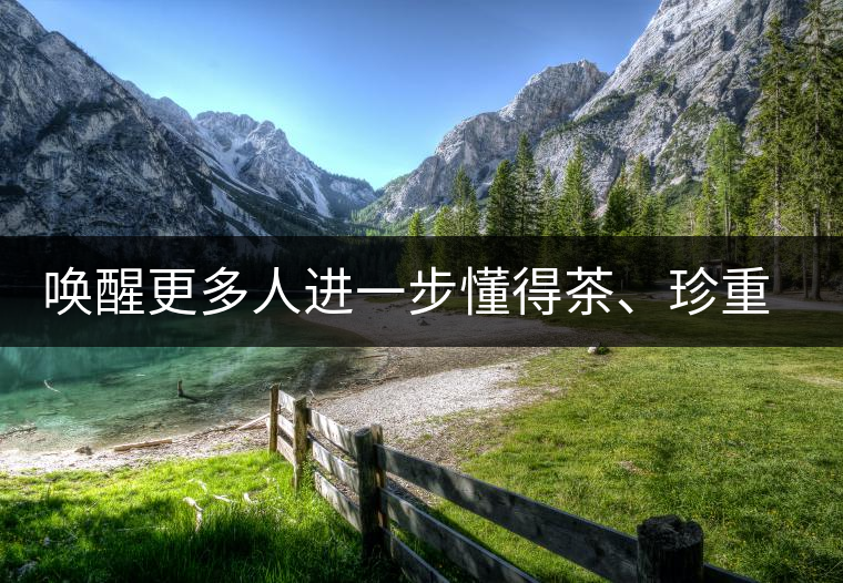 喚醒更多人進一步懂得茶、珍重茶、享受茶