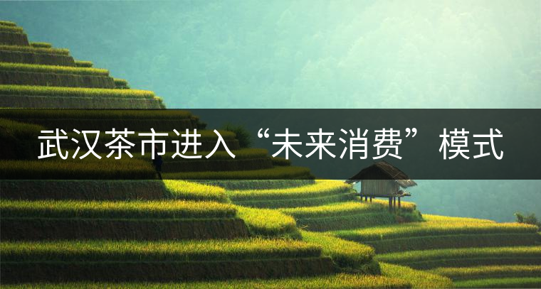 武漢茶市進(jìn)入“未來(lái)消費(fèi)”模式