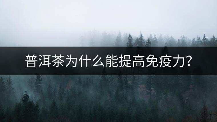 普洱茶為什么能提高免疫力？