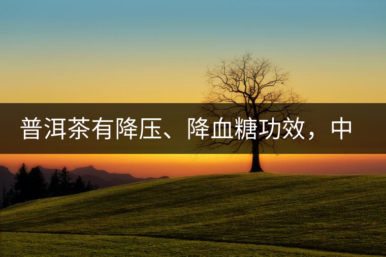 普洱茶有降壓、降血糖功效，中老年人不再懼怕糖尿病