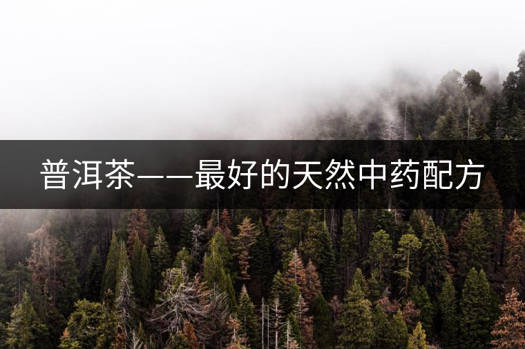 普洱茶——最好的天然中藥配方 普洱茶——最好的天然中藥配方