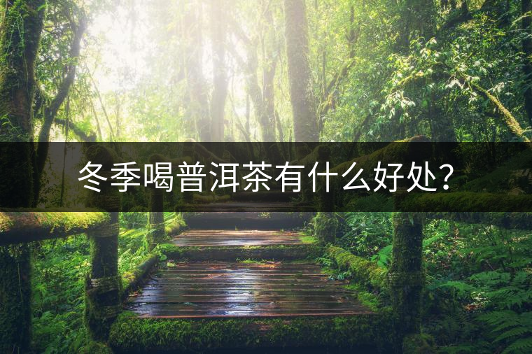 冬季喝普洱茶有什么好處？