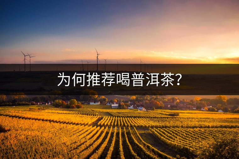 為何推薦喝普洱茶? 為何推薦喝普洱茶?