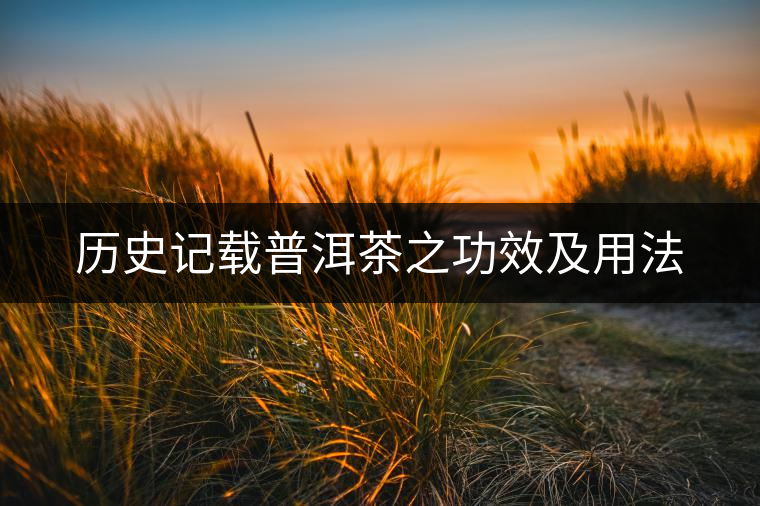 歷史記載普洱茶之功效及用法