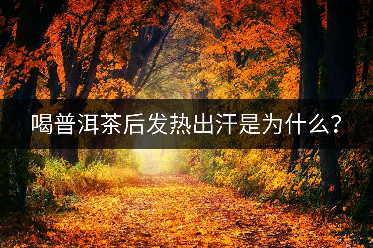 喝普洱茶后發(fā)熱出汗是為什么？