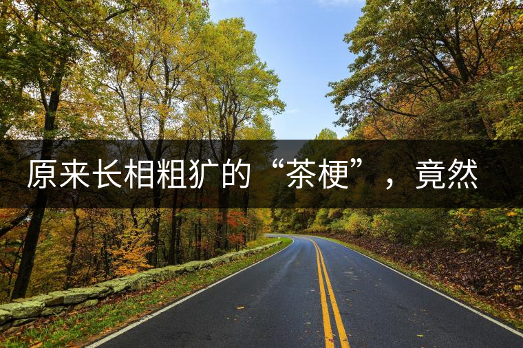 原來(lái)長(zhǎng)相粗獷的“茶?！保谷贿€有這么多的作用