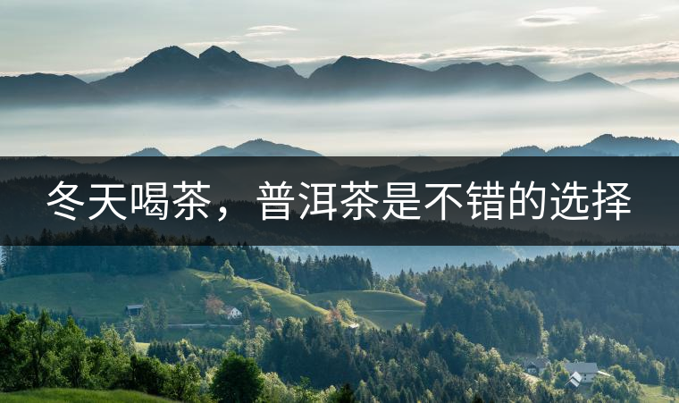 冬天喝茶，普洱茶是不錯(cuò)的選擇