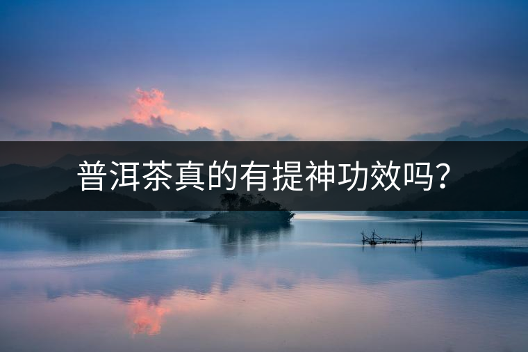 普洱茶真的有提神功效嗎？