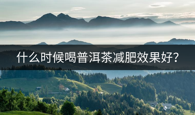 什么時(shí)候喝普洱茶減肥效果好？