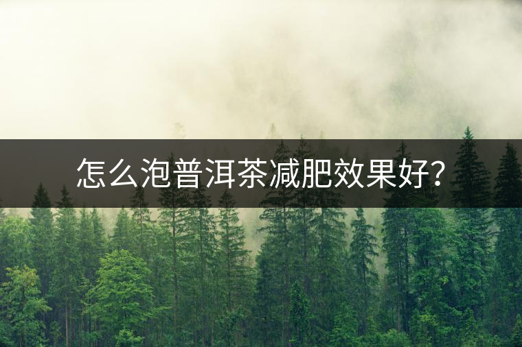 怎么泡普洱茶減肥效果好？