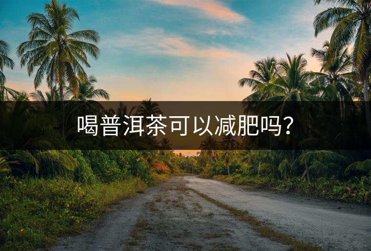 喝普洱茶可以減肥嗎？