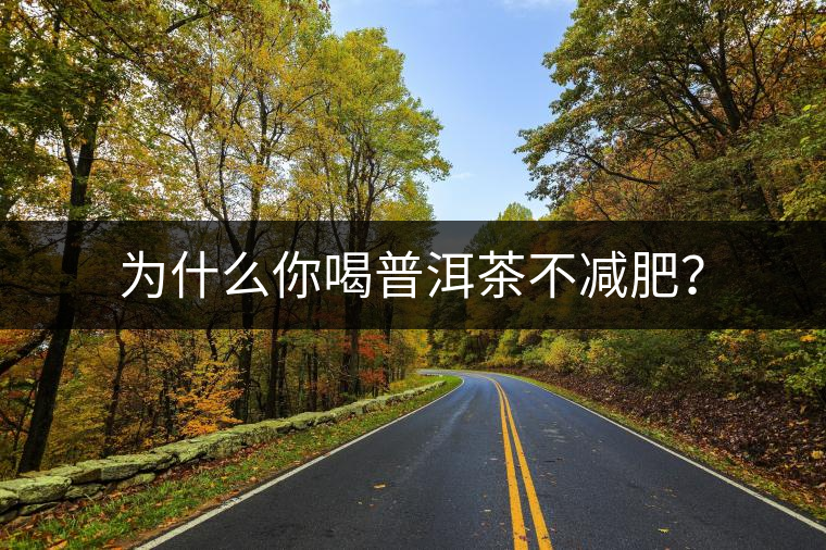 為什么你喝普洱茶不減肥？