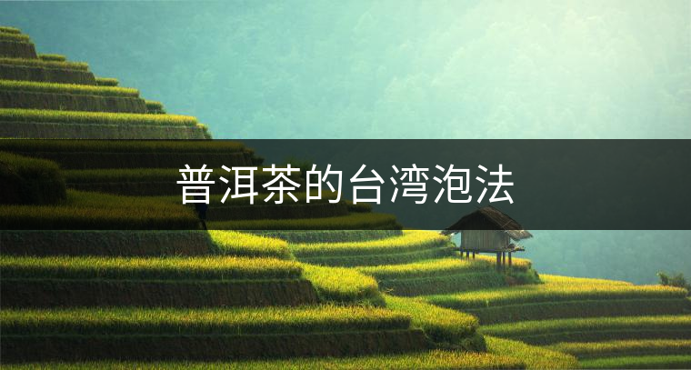 普洱茶的臺(tái)灣泡法