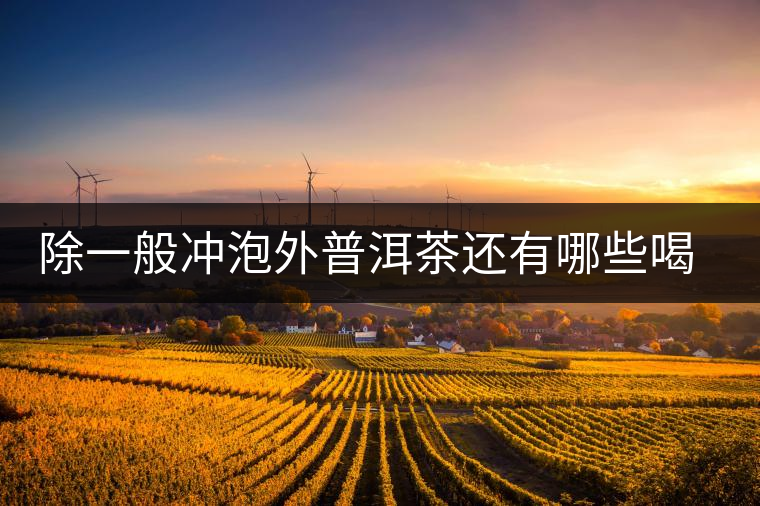 除一般沖泡外普洱茶還有哪些喝法？