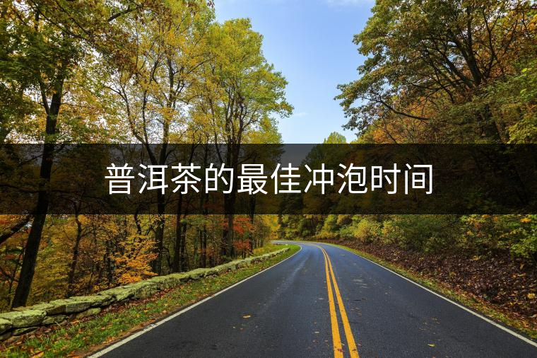 普洱茶的最佳沖泡時間