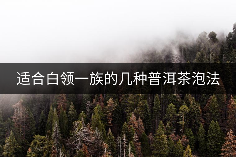 適合白領一族的幾種普洱茶泡法