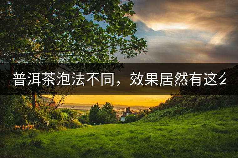 普洱茶泡法不同，效果居然有這么大區(qū)別！