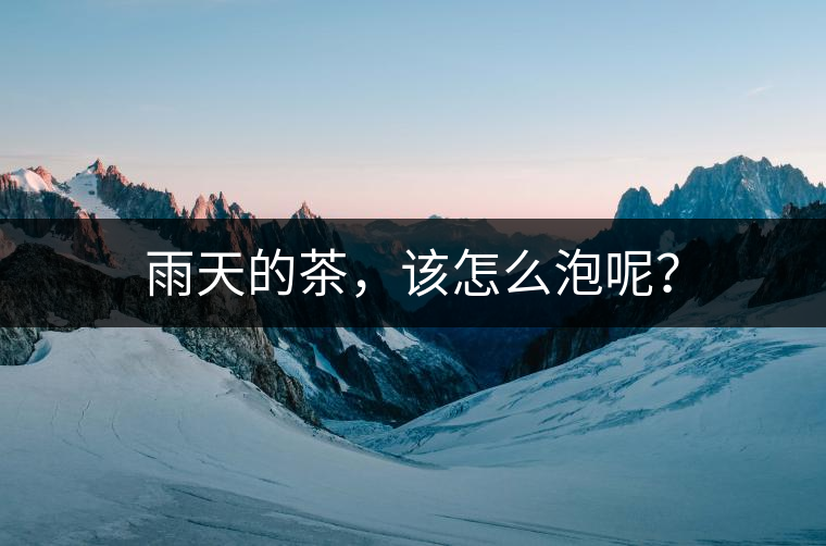 雨天的茶，該怎么泡呢？