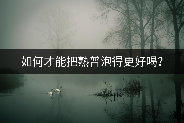 如何才能把熟普泡得更好喝？