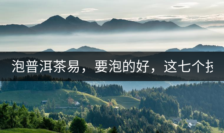 泡普洱茶易，要泡的好，這七個(gè)技巧很重要！