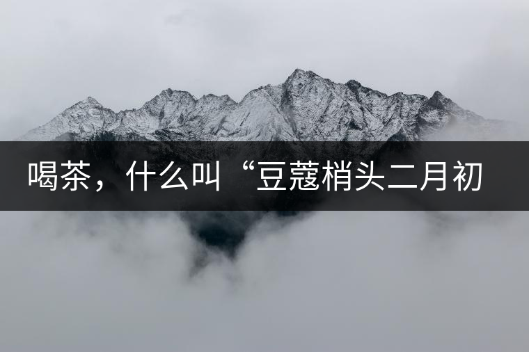 喝茶，什么叫“豆蔻梢頭二月初”？