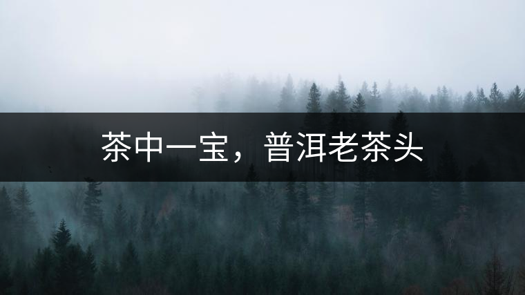 茶中一寶，普洱老茶頭