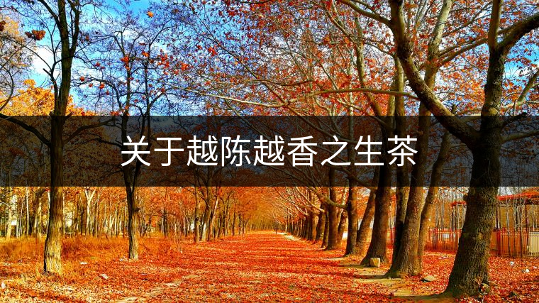 關(guān)于越陳越香之生茶