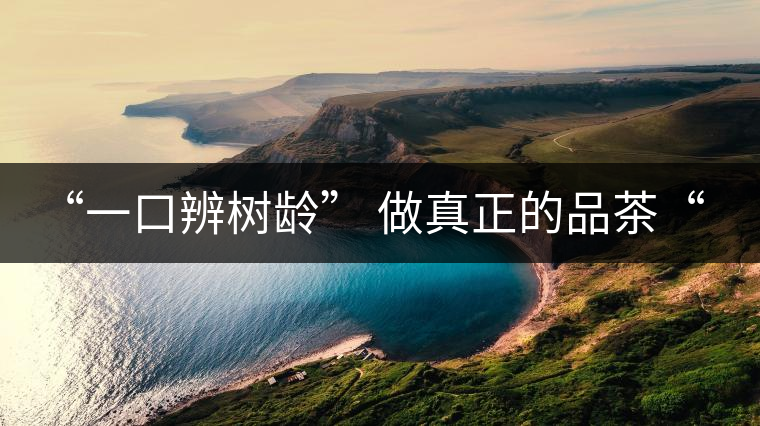 “一口辨樹齡” 做真正的品茶“大師”！