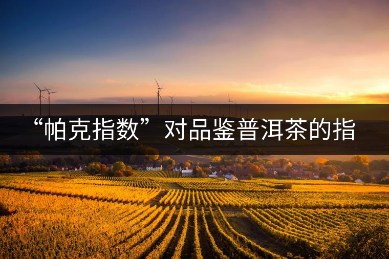 “帕克指數(shù)”對品鑒普洱茶的指導(dǎo)意義在哪里？「跨界有道」