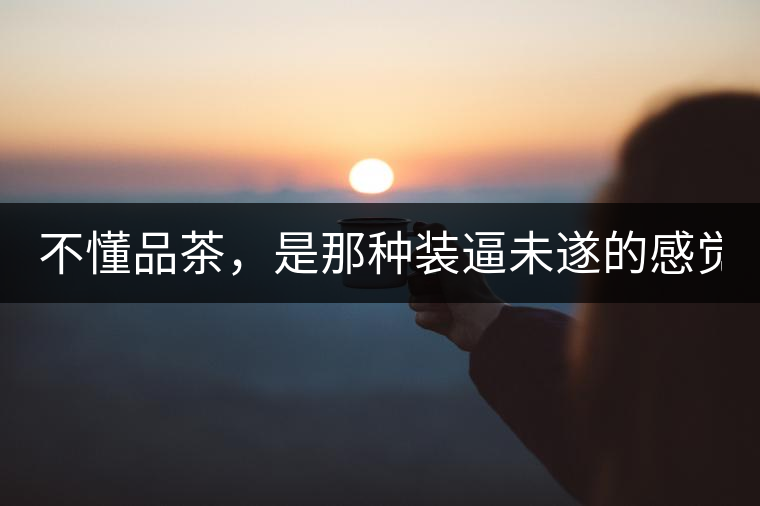 不懂品茶，是那種裝逼未遂的感覺？