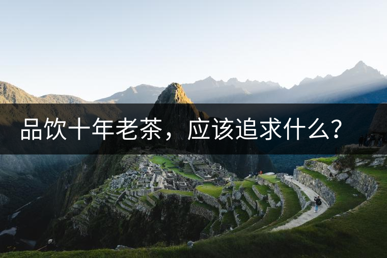 品飲十年老茶，應(yīng)該追求什么？滋味還是故事？