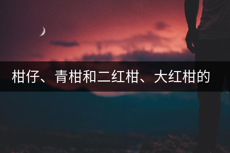 柑仔、青柑和二紅柑、大紅柑的區(qū)別，你可知道？