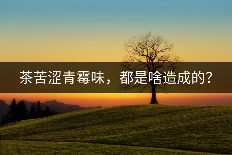 茶苦澀青霉味，都是啥造成的？