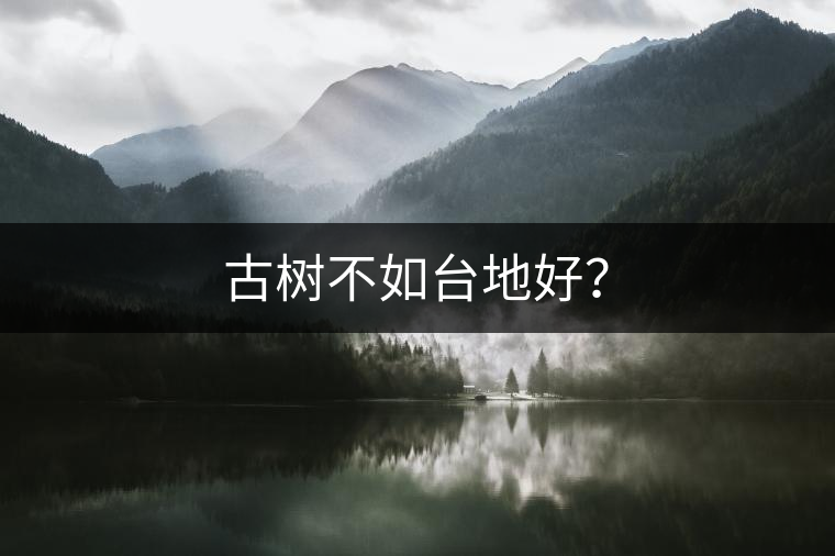 古樹不如臺(tái)地好？