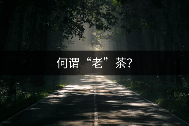 何謂“老”茶？