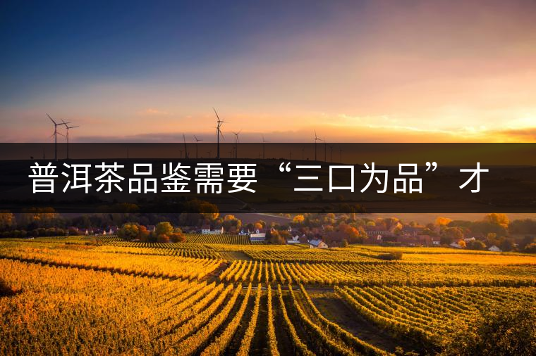 普洱茶品鑒需要“三口為品”才真實，那從哪里入手品鑒呢？