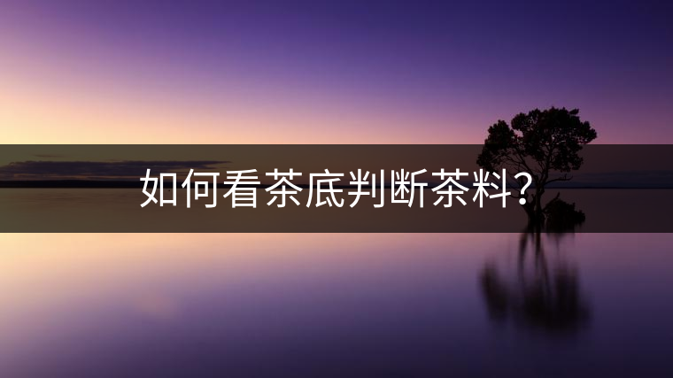 如何看茶底判斷茶料？